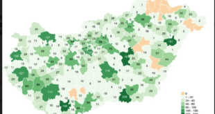 Otthoni hospice ellátás Magyarországon